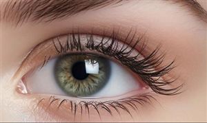 2023年中国睫毛膏市场发展现状分析：预计未来市场规模将持续增加