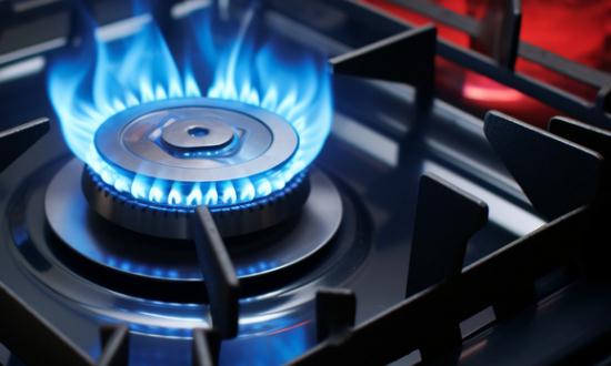 中国红外线节能灶行业发展分析与投资前景