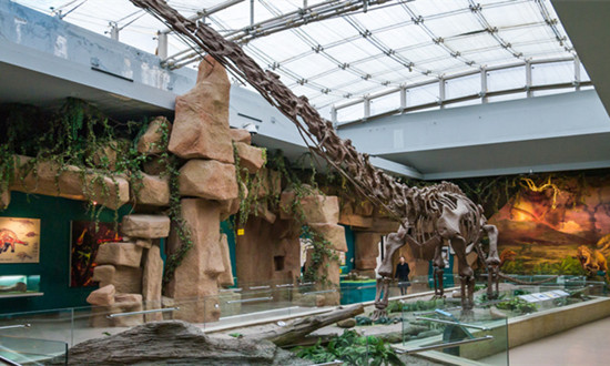 博物馆旅游行业现状：中秋国庆双节期间 全国博物馆接待观众总量达6600万人次