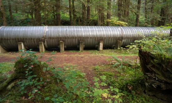 2023水电用钢未来市场规模及发展趋势预测