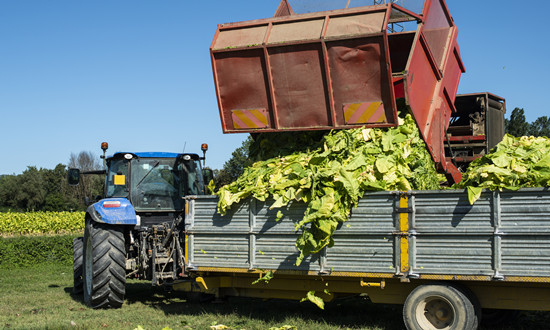 烟草物流行业市场趋势分析：烟草物流具有明显的区域性特征