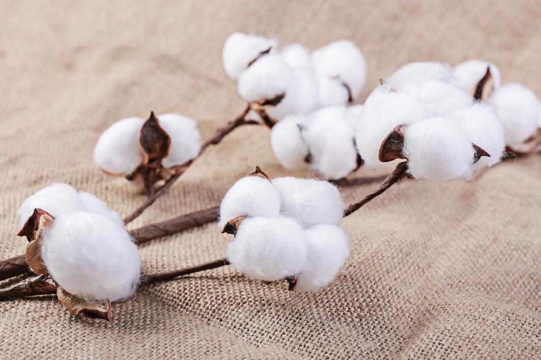 2023我国化学纤维产量呈现较快增长态势