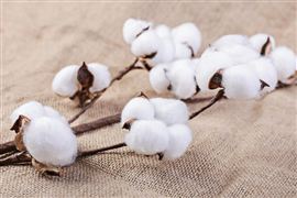 2023我国化学纤维产量呈现较快增长态势