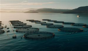 “海鲜陆养”成为水产养殖的新方向 水产消费新业态推动行业快速增长