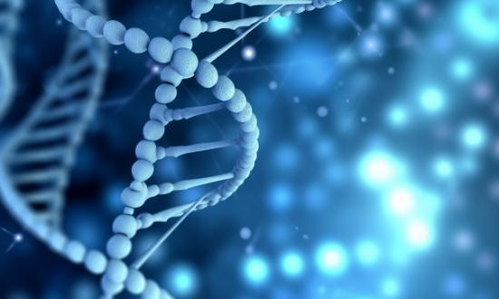 单细胞测序行业市场未来发展方向及趋势预测2023