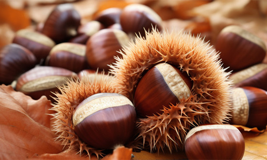 2023板栗市场发展现状及未来前景趋势分析