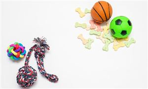 宠物用品场景趋势分析 宠物用品行业市场调研2023