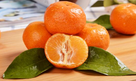 2023柑橘行业现状调研及进出口市场分析