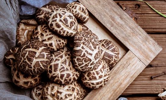 2023年食用菌养殖行业市场发展现状：人工栽培食用菌产值达到2800亿元