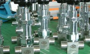 2023核阀门行业发展现状前景研究报告