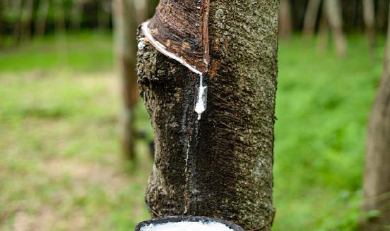 中国合成橡胶行业市场深度调研 我国高性能液体橡胶实现国产化
