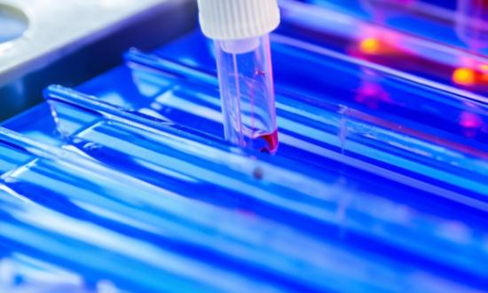 中国矿物胶市场分析 矿物胶市场发展趋势分析2024