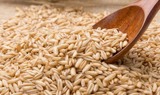 我国燕麦片产业有望进一步实现产值增长和品牌价值提升 2023年燕麦种植行业市场发展现状分析