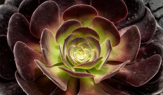 2023年中国甲苯行业市场发展现状分析 国内甲苯产能保持连续上涨趋势