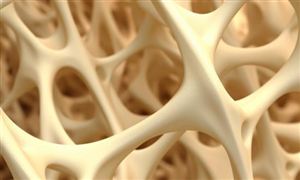 海绵钛行业市场发展机遇 2024海绵钛行业市场需求及投资前景分析