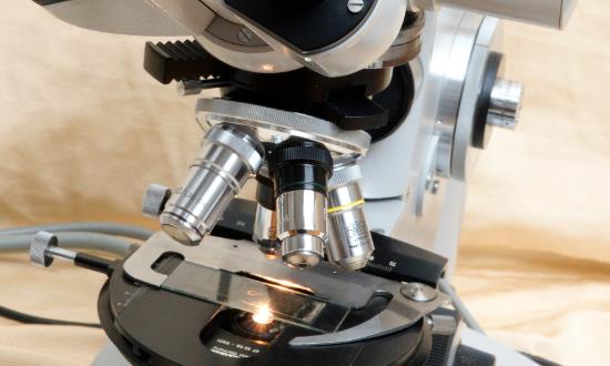 光学显微镜行业发展分析：预计2026年中国光学显微镜市场规模有望达到46亿元