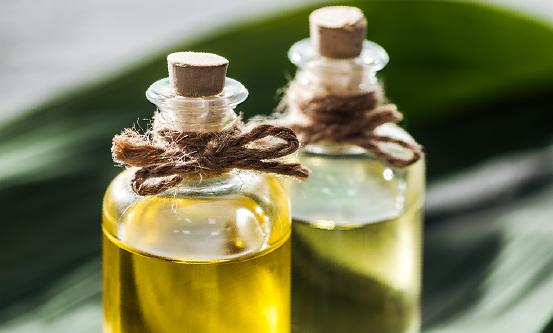 椰子油行业市场如何?椰子油行业市场发展机遇及挑战研究分析