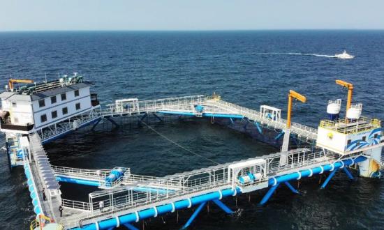 2023海水利用行业发展分析与投资前景