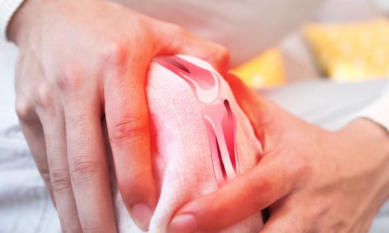 骨科植入器材行业市场走向与报告分析2024