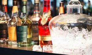 中国利口酒行业分析 利口酒市场投资战略规划报告