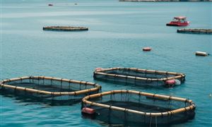 海洋牧场行业市场环境分析 海洋牧场行业发展趋势预测