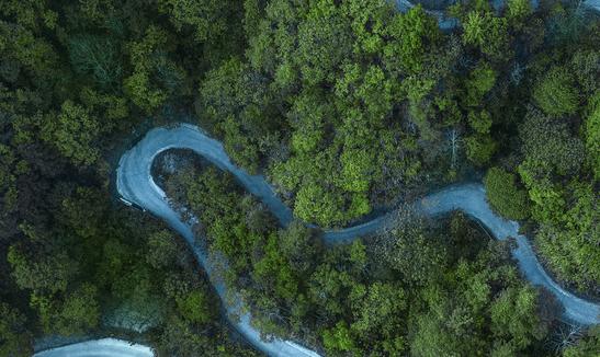 全国森林旅游发展环境持续优化 2023年中国森林旅游行业市场发展现状