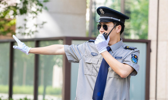 安保行业现状分析 海外安保服务市场需求增加