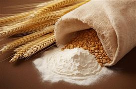 2023宠物用品场景趋势 2023年我国的宠物食品消费占比40%