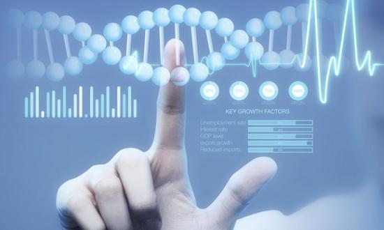 PQQ行业市场前景与现状分析报告