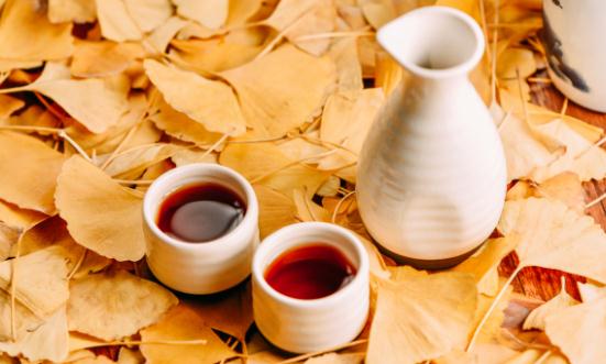 2023银杏叶提取物行业前瞻及市场竞争趋势预测