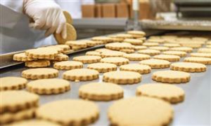 无糖饼干市场需求与趋向分析2024