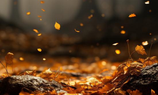 森林防火行业发展现状 2023森林防火行业市场调研