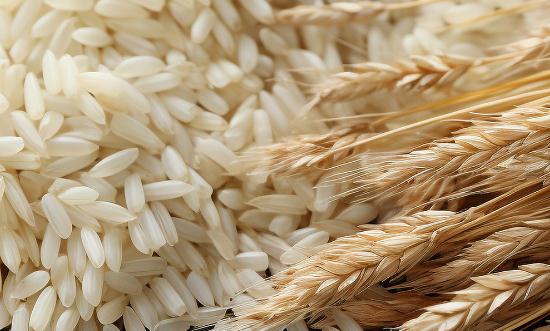 高端大米产量如何?2023高端大米行业市场需求分析