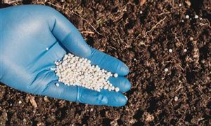 9月尿素出口量达到119万吨 同比增加241.7%