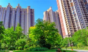 刚刚 碧桂园声明 碧桂园服务上半年收入207.33亿元 物业服务行业市场发展环境