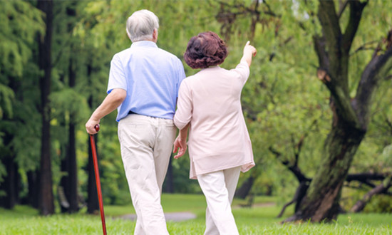 中国老年经济行业现状调查分析 老年经济行业未来市场投资机会