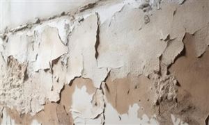 中国超白涂料市场前景分析2024