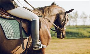 马术俱乐部行业市场分析 未来中国马术俱乐部行业发展分析