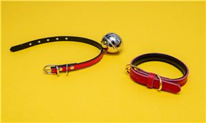 未来宠物用品市场如何 预计2024年国内宠物用品市场分析