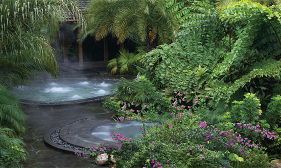 温泉特色酒店行业发展分析及前景研究