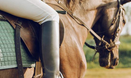 马术俱乐部行业研究报告2024：马术俱乐部市场投资潜力分析