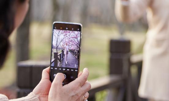国内老年手机行业发展趋势 国内老年手机行业市场需求分析