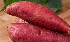 红薯深加工行业市场深度分析及未来前景趋势