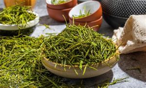 2023白茶行业市场现状及竞争格局分析