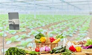 2023网络直播行业深度分析及行业现状分析