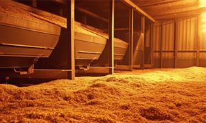 生物质能发电行业分析：行业朝着规范化、市场化方向发展