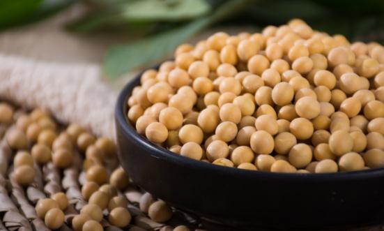 大豆种植行业发展现状：2023年大豆面积稳中有增 稳定在1.5亿亩以上