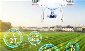 智慧农业产业未来前景与趋势：加快农业农村大数据应用 推进智慧农业发展