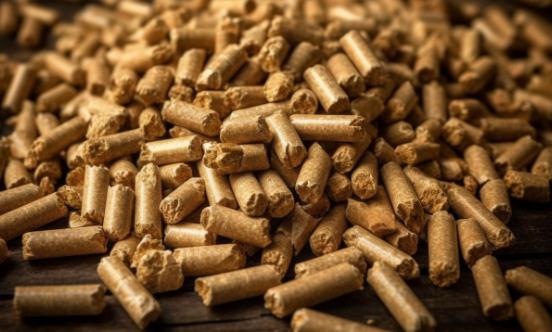 2023生物质燃料行业市场发展现状深度分析