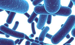 益生菌消费端意识觉醒 2023益生菌行业发展前景及市场格局